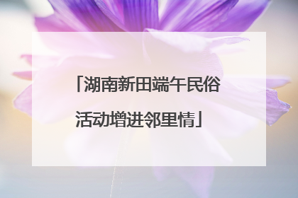 湖南新田端午民俗活动增进邻里情