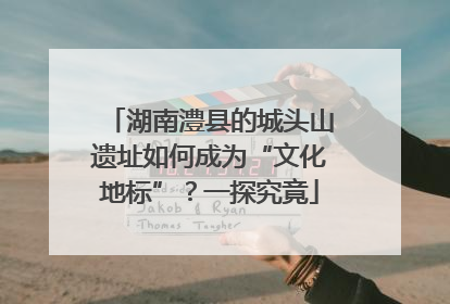 湖南澧县的城头山遗址如何成为“文化地标”？一探究竟