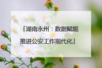 湖南永州：数据赋能推进公安工作现代化