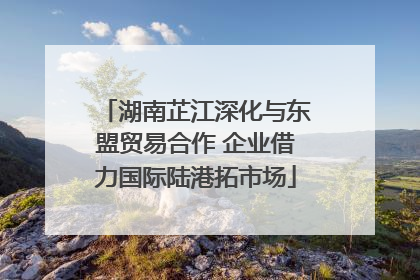 湖南芷江深化与东盟贸易合作 企业借力国际陆港拓市场