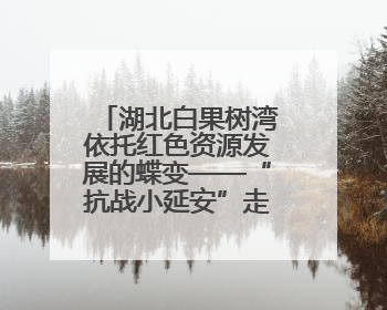 湖北白果树湾依托红色资源发展的蝶变——“抗战小延安”走上农旅融合振兴路