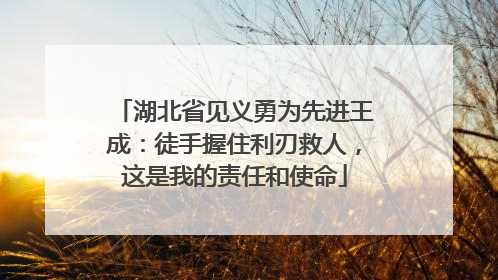 湖北省见义勇为先进王成：徒手握住利刃救人，这是我的责任和使命