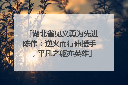 湖北省见义勇为先进陈伟：逆火而行伸援手，平凡之躯亦英雄