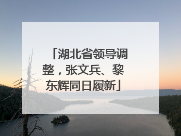 湖北省领导调整，张文兵、黎东辉同日履新