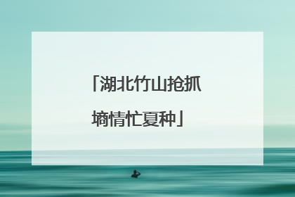 湖北竹山抢抓墒情忙夏种