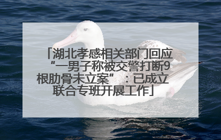 湖北孝感相关部门回应“一男子称被交警打断9根肋骨未立案”：已成立联合专班开展工作
