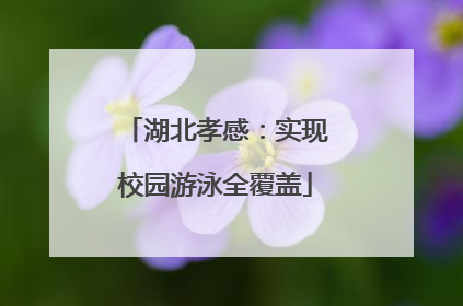 湖北孝感：实现校园游泳全覆盖