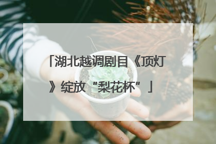 湖北越调剧目《顶灯》绽放“梨花杯”