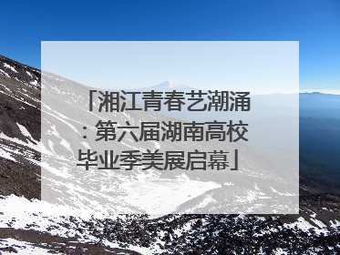 湘江青春艺潮涌：第六届湖南高校毕业季美展启幕