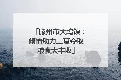 滕州市大坞镇：倾情助力三夏夺取粮食大丰收