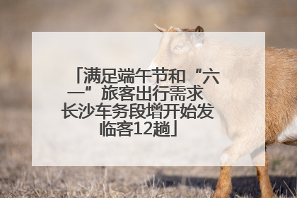 满足端午节和“六一”旅客出行需求 长沙车务段增开始发临客12趟