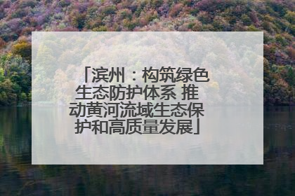 滨州：构筑绿色生态防护体系 推动黄河流域生态保护和高质量发展