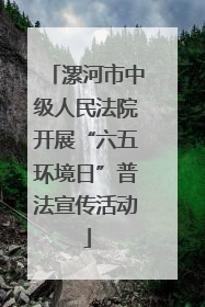 漯河市中级人民法院开展“六五环境日”普法宣传活动