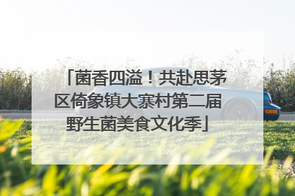 菌香四溢！共赴思茅区倚象镇大寨村第二届野生菌美食文化季
