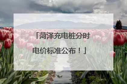 菏泽充电桩分时电价标准公布！
