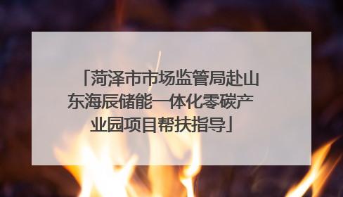 菏泽市市场监管局赴山东海辰储能一体化零碳产业园项目帮扶指导