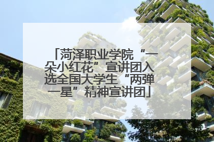 菏泽职业学院“一朵小红花”宣讲团入选全国大学生“两弹一星”精神宣讲团