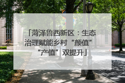 菏泽鲁西新区：生态治理赋能乡村“颜值”“产值”双提升