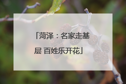 菏泽：名家走基层 百姓乐开花