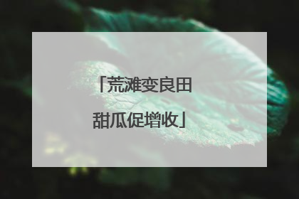 荒滩变良田 甜瓜促增收
