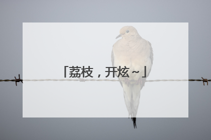 荔枝，开炫～
