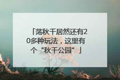 荡秋千居然还有20多种玩法，这里有个“秋千公园”