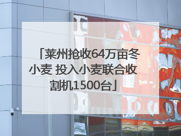 莱州抢收64万亩冬小麦 投入小麦联合收割机1500台