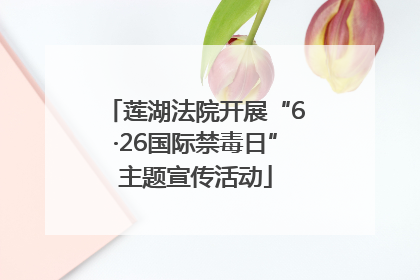 莲湖法院开展“6·26国际禁毒日”主题宣传活动