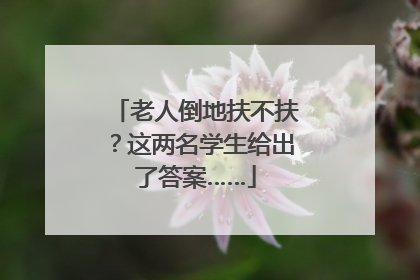 老人倒地扶不扶？这两名学生给出了答案……