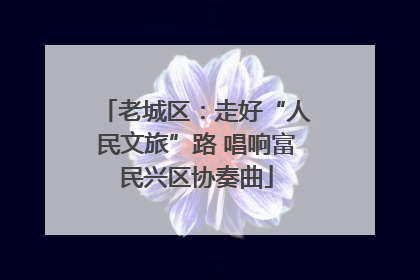 老城区：走好“人民文旅”路 唱响富民兴区协奏曲