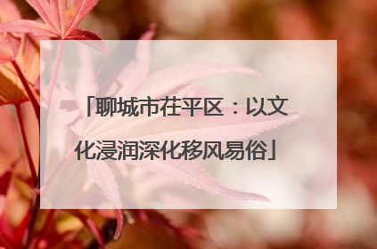 聊城市茌平区：以文化浸润深化移风易俗