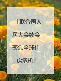 联合国人居大会续会聚焦全球住房危机