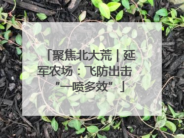 聚焦北大荒｜延军农场：飞防出击 “一喷多效”
