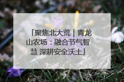 聚焦北大荒｜青龙山农场：融合节气智慧 深耕安全沃土