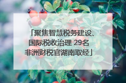 聚焦智慧税务建设、国际税收治理 29名非洲财税官湖南取经