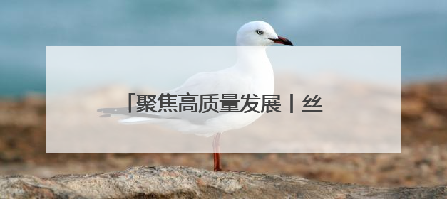 聚焦高质量发展丨丝博会里的技术脉动：陕西科创的突破与想象