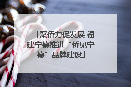 聚侨力促发展 福建宁德推进“侨见宁德”品牌建设