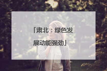 肃北：绿色发展动能强劲