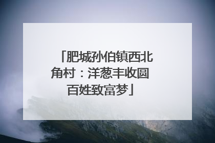 肥城孙伯镇西北角村：洋葱丰收圆百姓致富梦