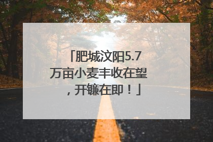 肥城汶阳5.7万亩小麦丰收在望，开镰在即！