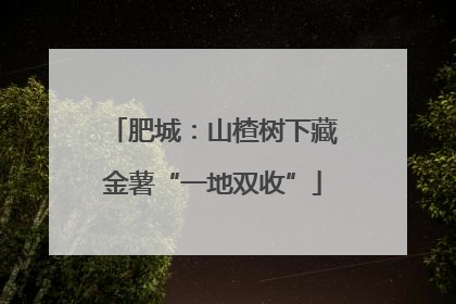 肥城：山楂树下藏金薯“一地双收”