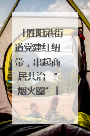 胜阳港街道党建红纽带，串起商居共治 “烟火圈”