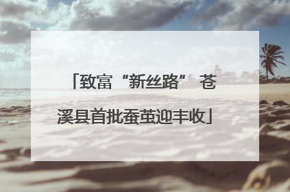 致富“新丝路” 苍溪县首批蚕茧迎丰收