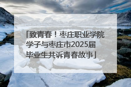 致青春！枣庄职业学院学子与枣庄市2025届毕业生共诉青春故事