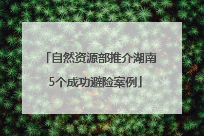 自然资源部推介湖南5个成功避险案例