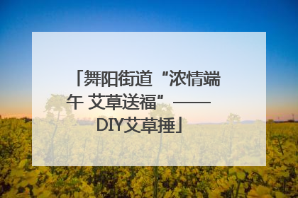 舞阳街道“浓情端午 艾草送福”——DIY艾草捶