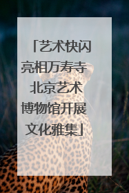 艺术快闪亮相万寿寺 北京艺术博物馆开展文化雅集