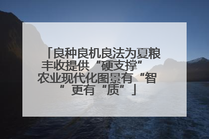 良种良机良法为夏粮丰收提供“硬支撑” 农业现代化图景有“智”更有“质”