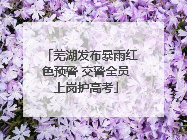 芜湖发布暴雨红色预警 交警全员上岗护高考