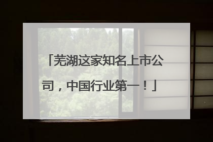 芜湖这家知名上市公司，中国行业第一！